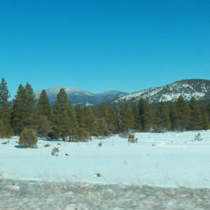 Snow, forest, and moutains